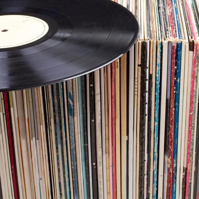 Vinyl Record Collection Fund