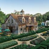 Beach Plum Farm