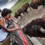 Terry Bison Ranch Resort