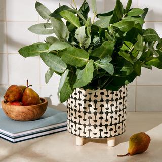 Botanist Stoneware Planter