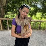 AJ’s Monkeys and Sloths
