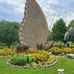 Sophia M. Sachs Butterfly House