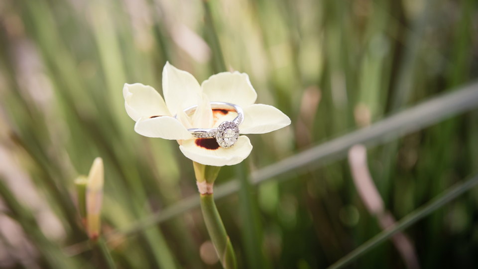 The Wedding Website of Emily Trepanier and William Lohr