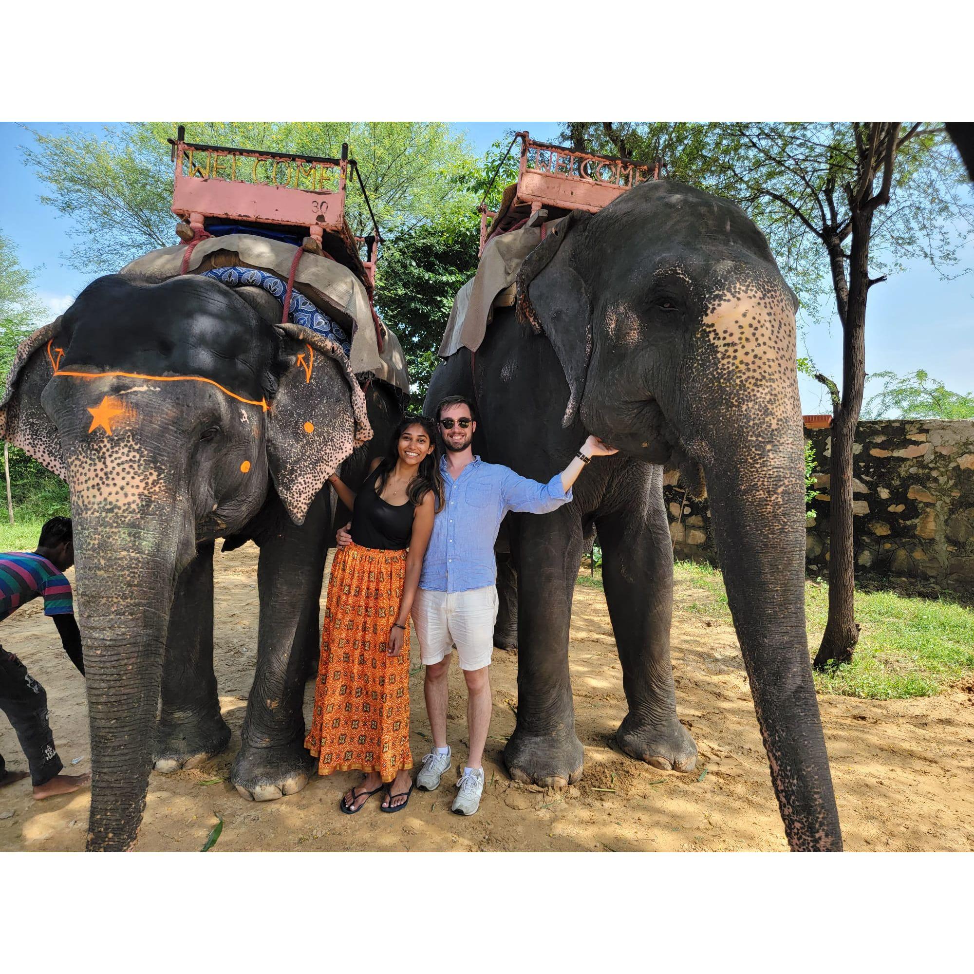 Elephant sanctuary in Jaipur, India (August 2022)