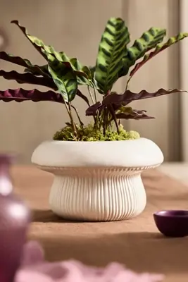 Toadstool Ceramic Planter