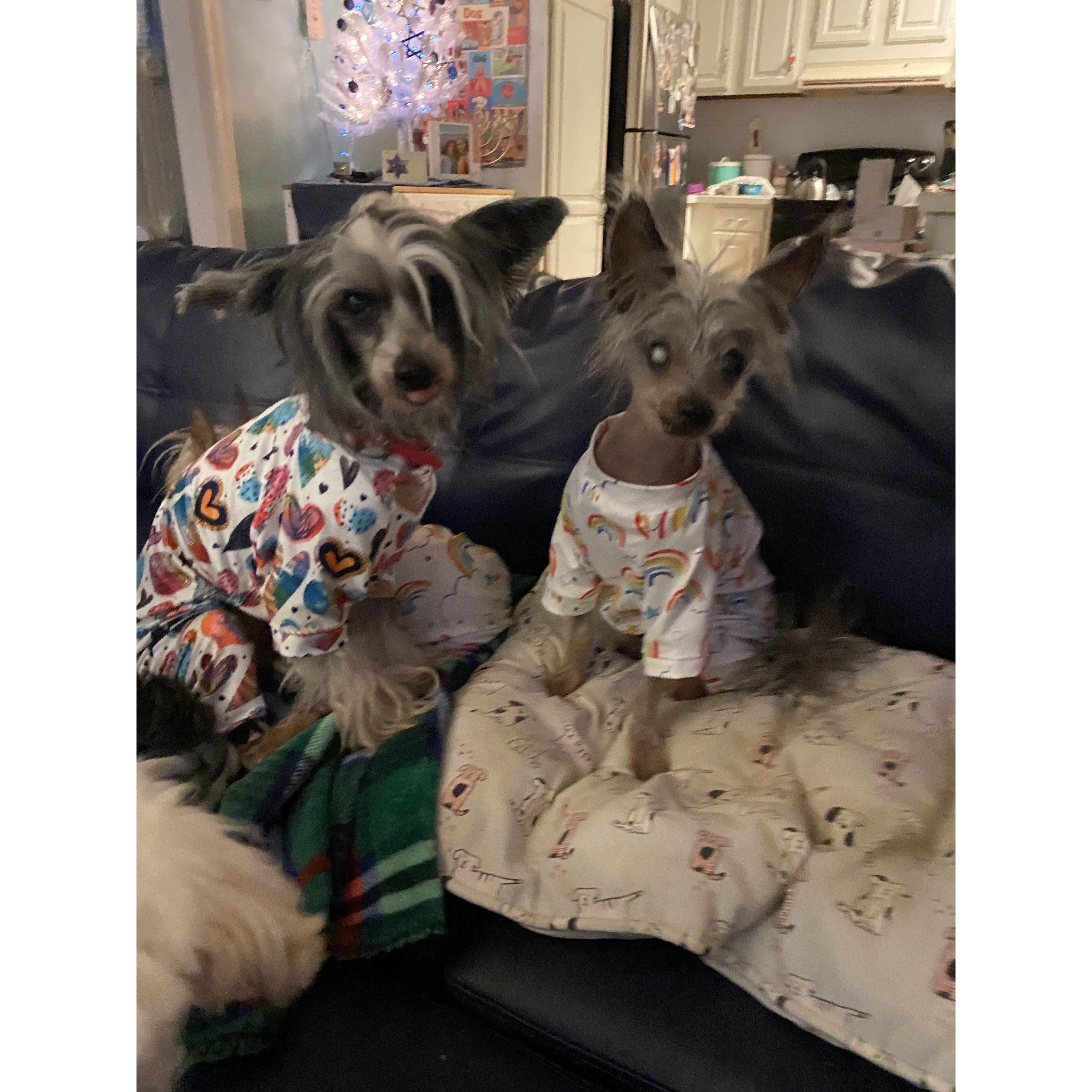 Lucius and Punky!