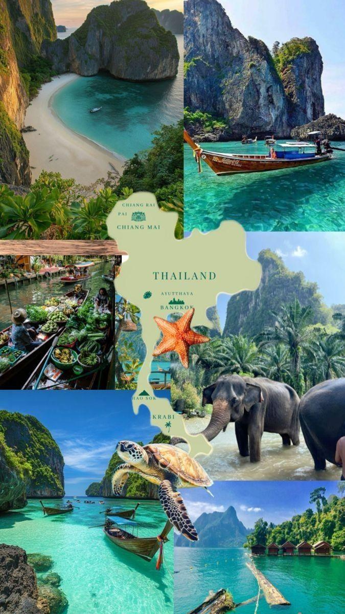 The Wedding Website of Suyen Kawatt and Gavin Reed