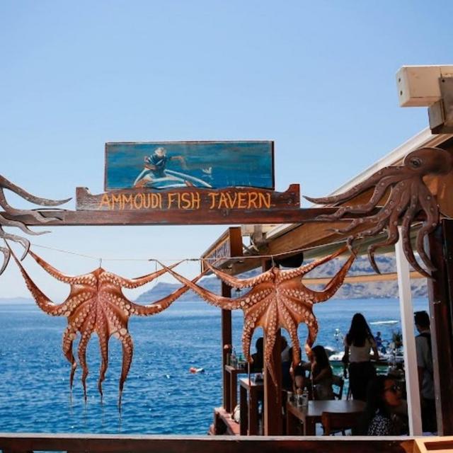 Dinner at Ammoudi Fish Tavern in Santorini