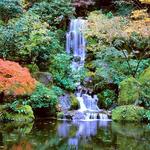 Portland Japanese Garden