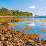 Moose Point State Park