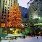 Visit the Christmas tree at Rockefeller Center