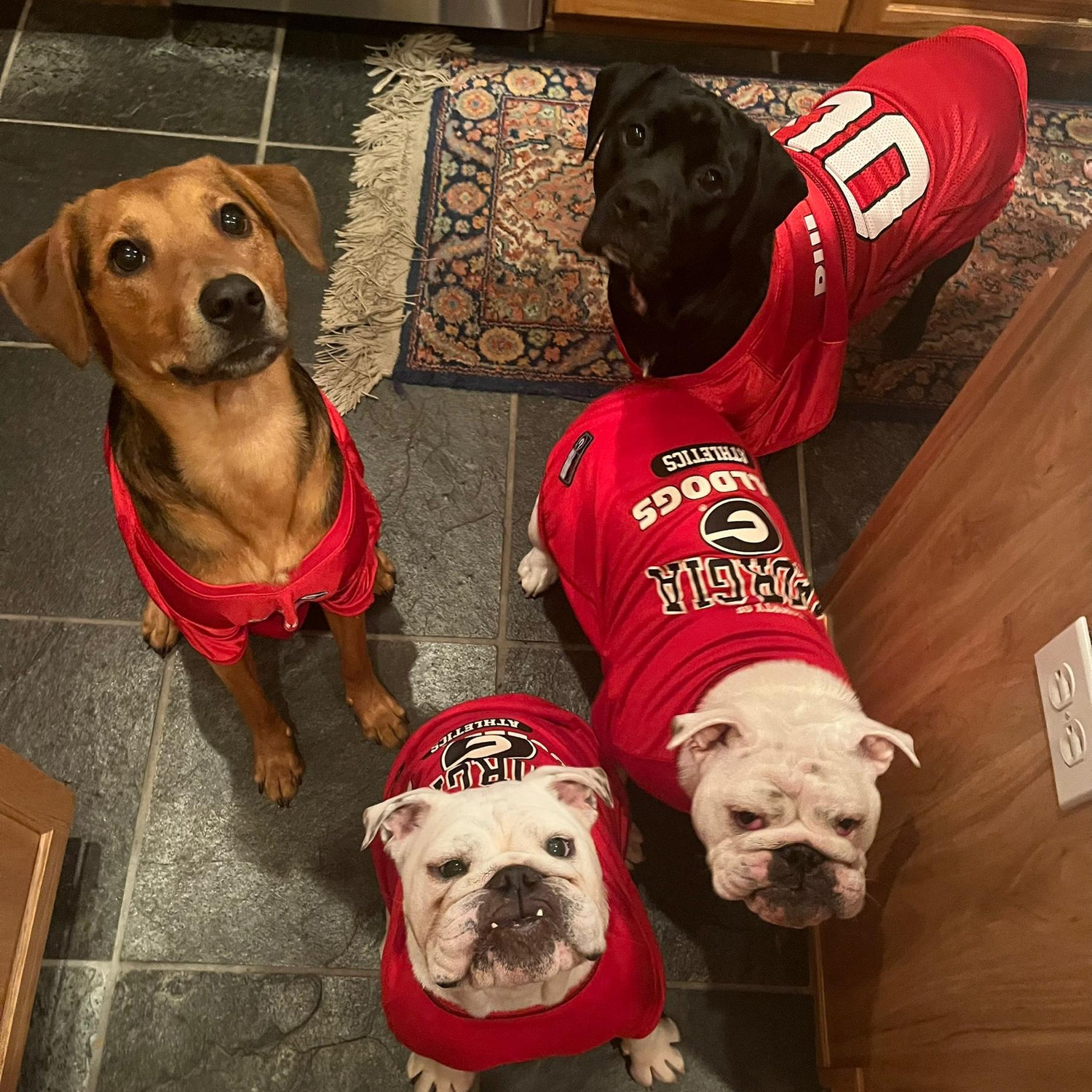 The pups and football!