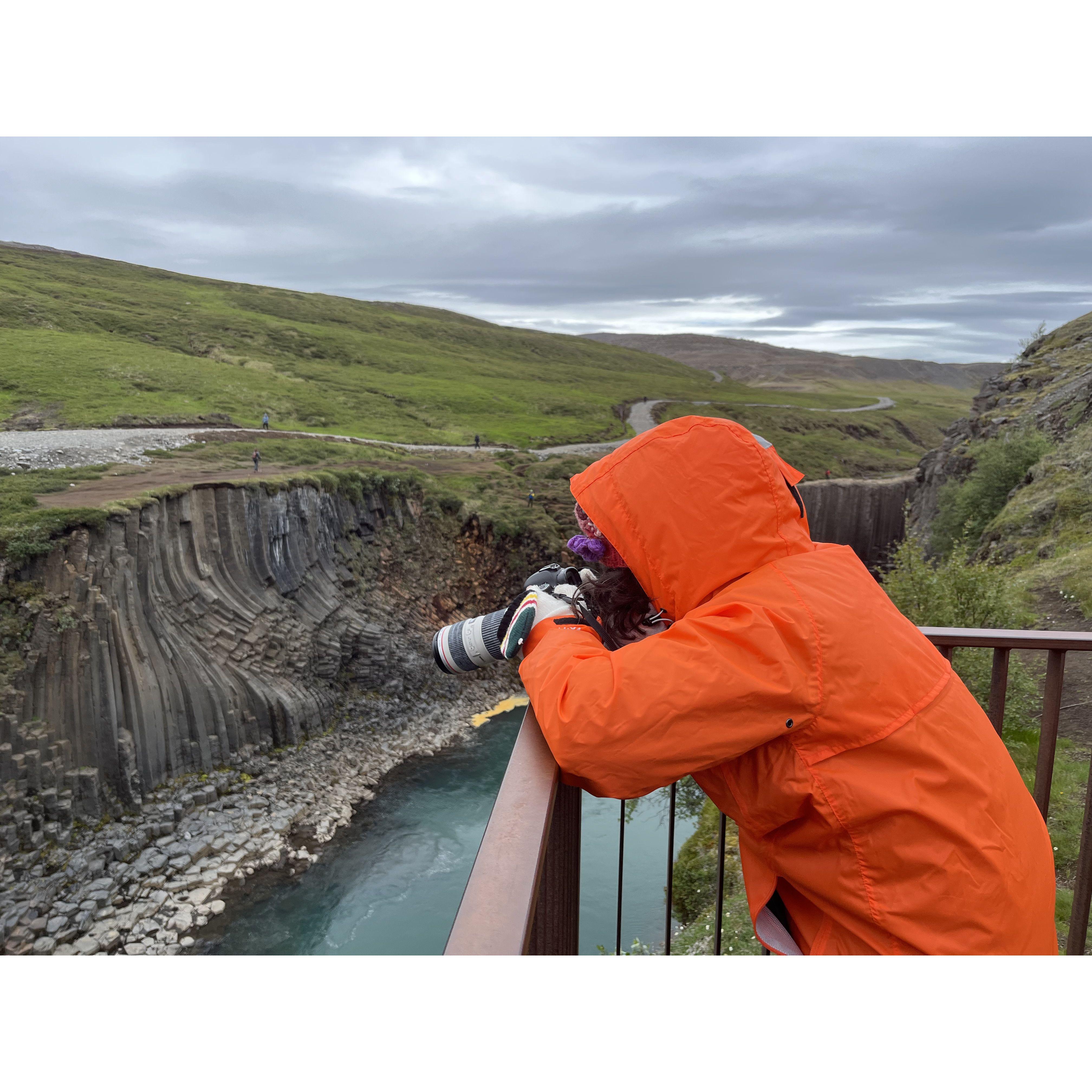 The dedicated photographer