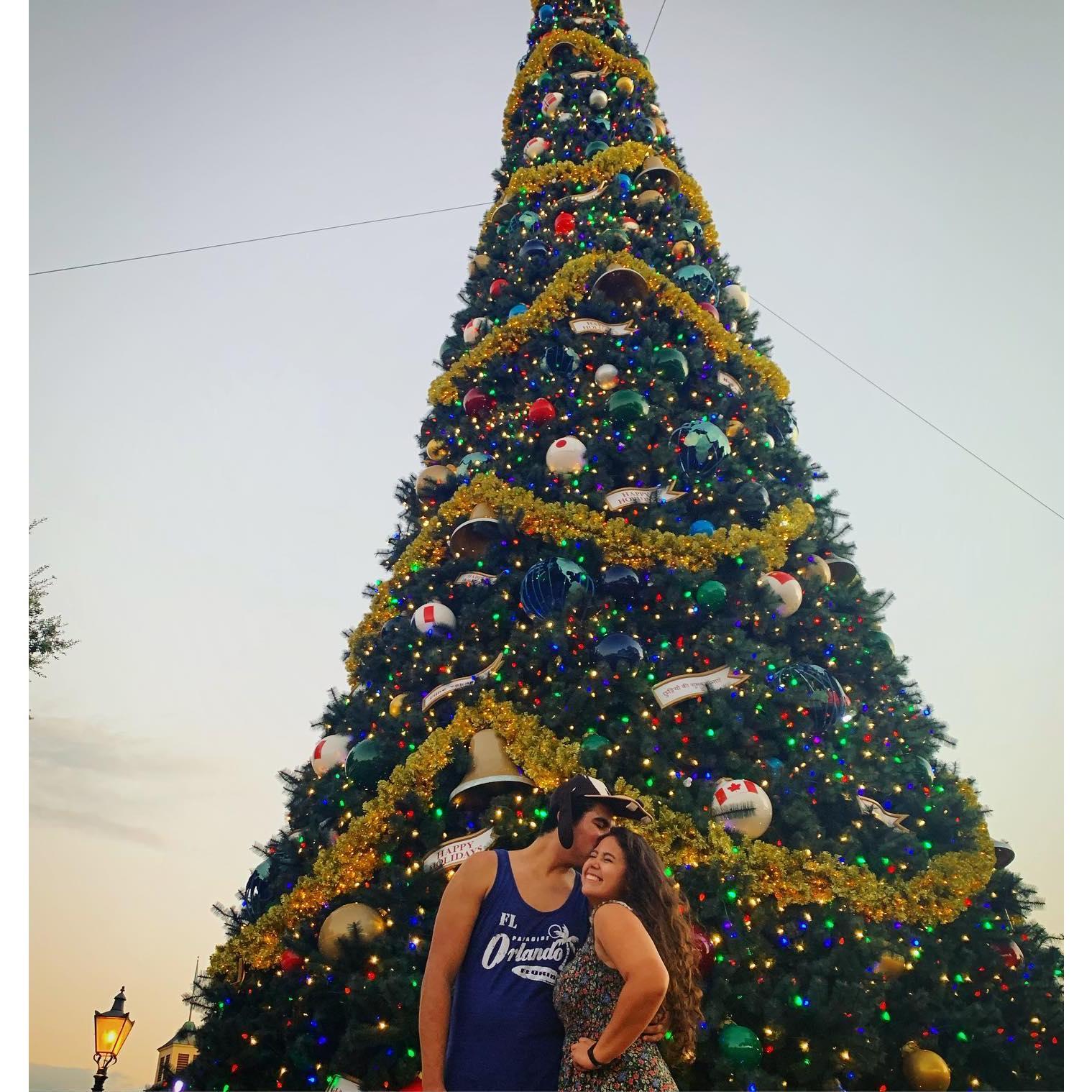 Christmas in Disney World, 2019