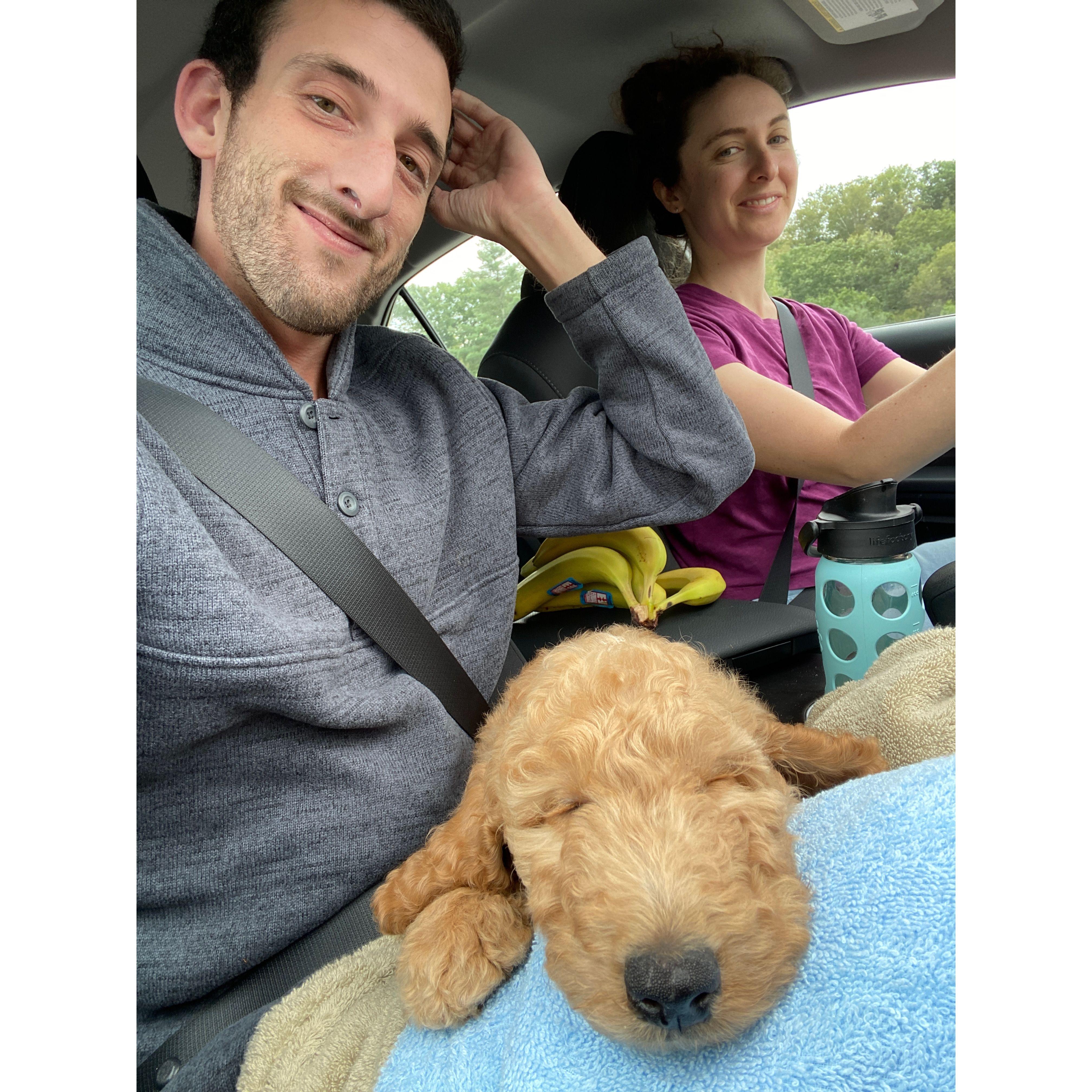 Bringing home our baby Rikki!