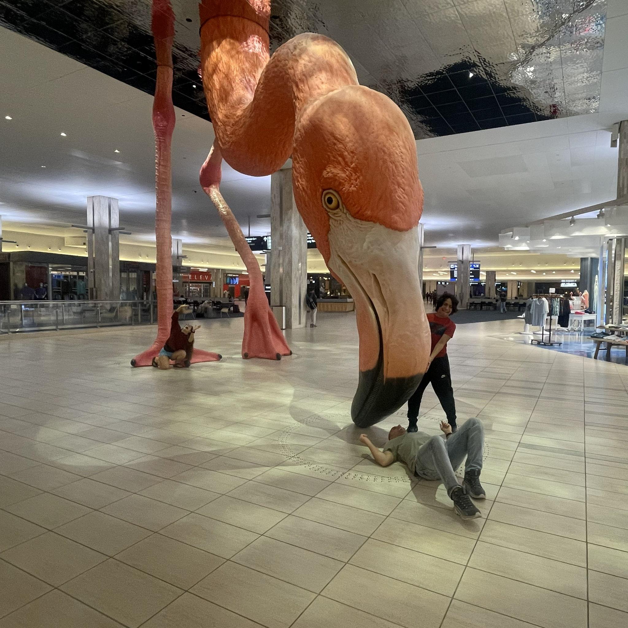 The three of us engaged in an epic battle for our lives with the pink flamingo at the Tampa airport.