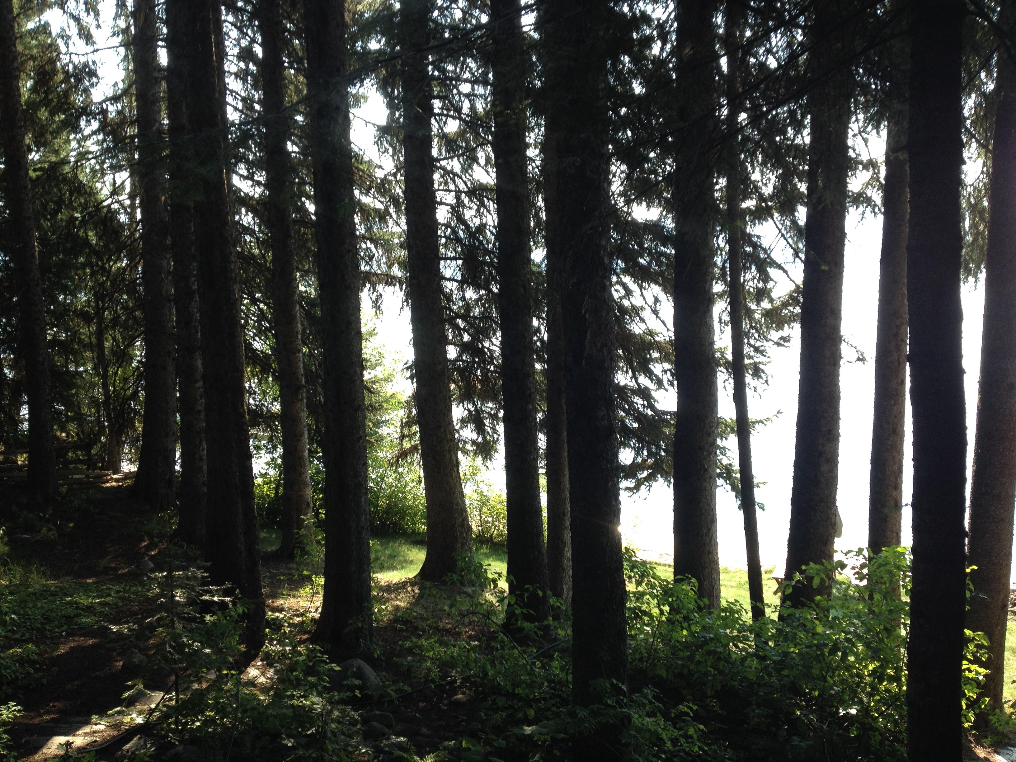 The Wedding Website of Chloe Hillmer and Matt Lund