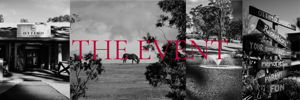 The Wedding Website of Chelsea Quach and Thong Bui