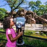 Philadelphia Zoo