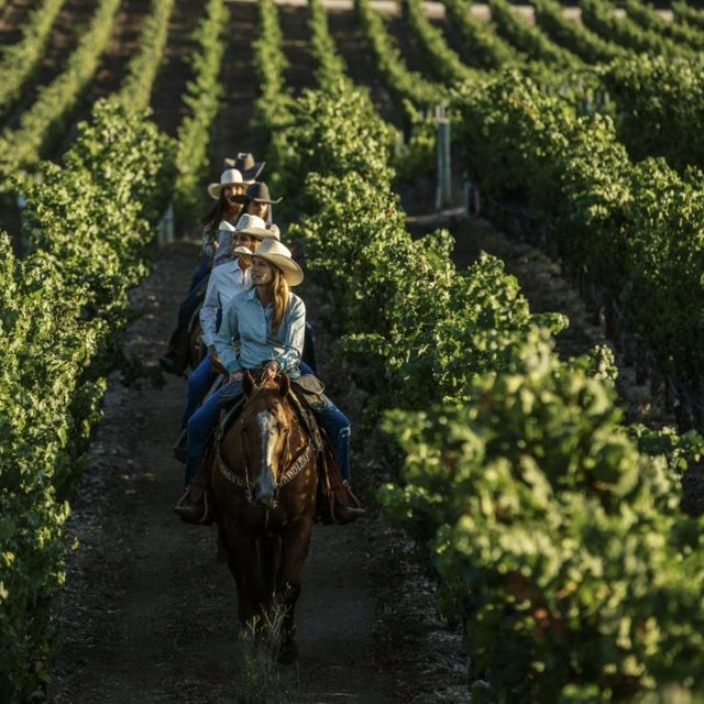 Honeymoon Horseback Ride