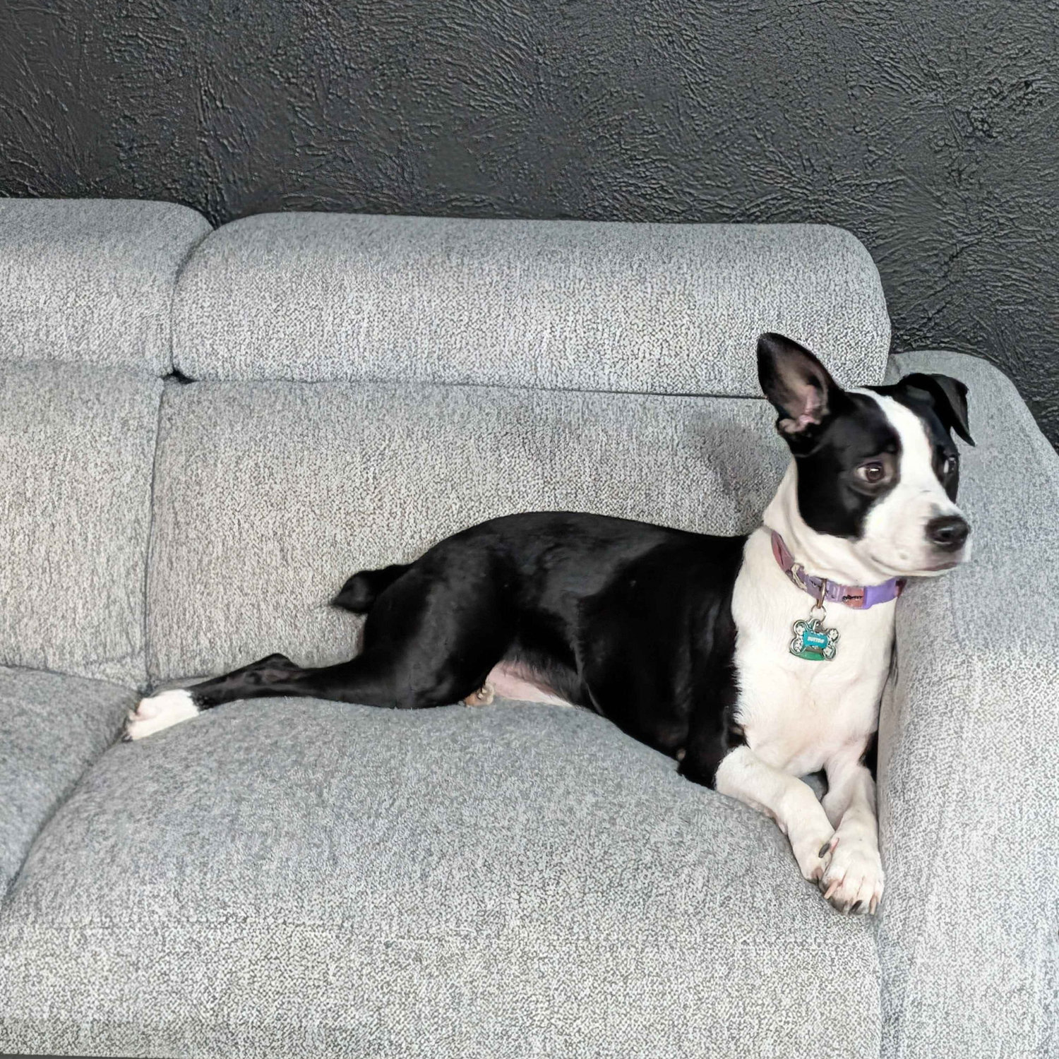 Button, 4 years old