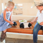 Zoomars at River Street Ranch