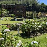 Hostal Miramundo