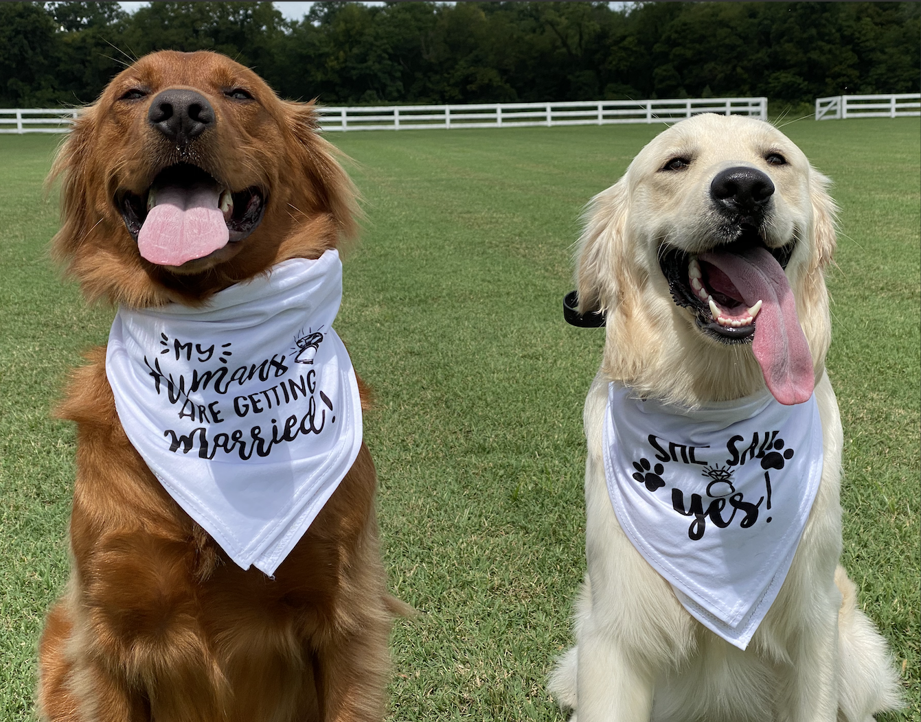 The Wedding Website of Kelsey Boehme and Donovan Yesnach