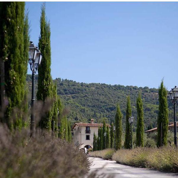 Road to Villa Baroncino