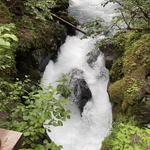 Winner Creek Trail