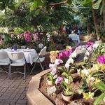 Regina Floral Conservatory