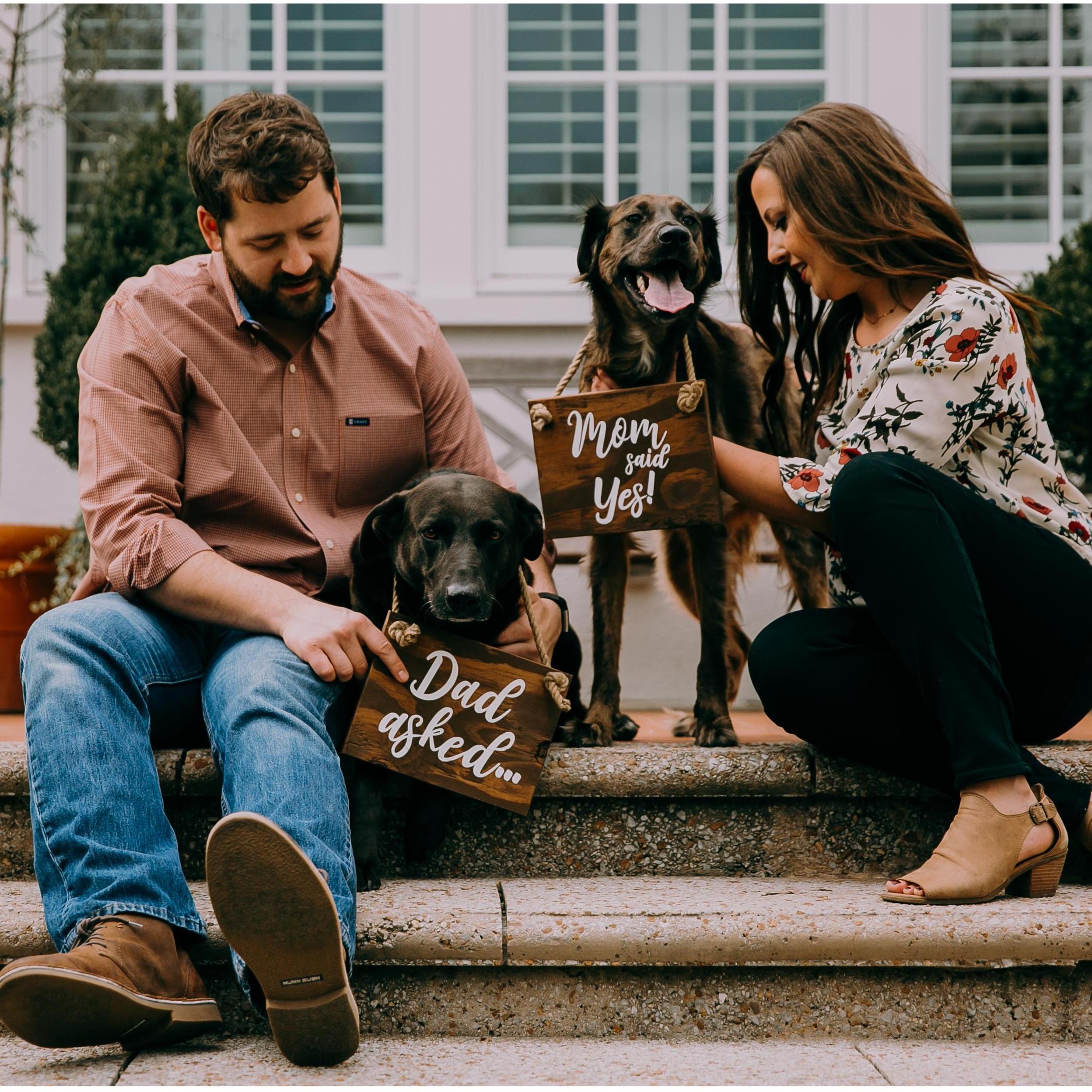 We are huge dog people. We have dog hair on us 90% of the time, and we always introduce ourselves to other people's dogs first.