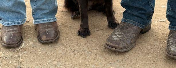 dae89314-0cc3-4820-86bf-23a38d26cb70