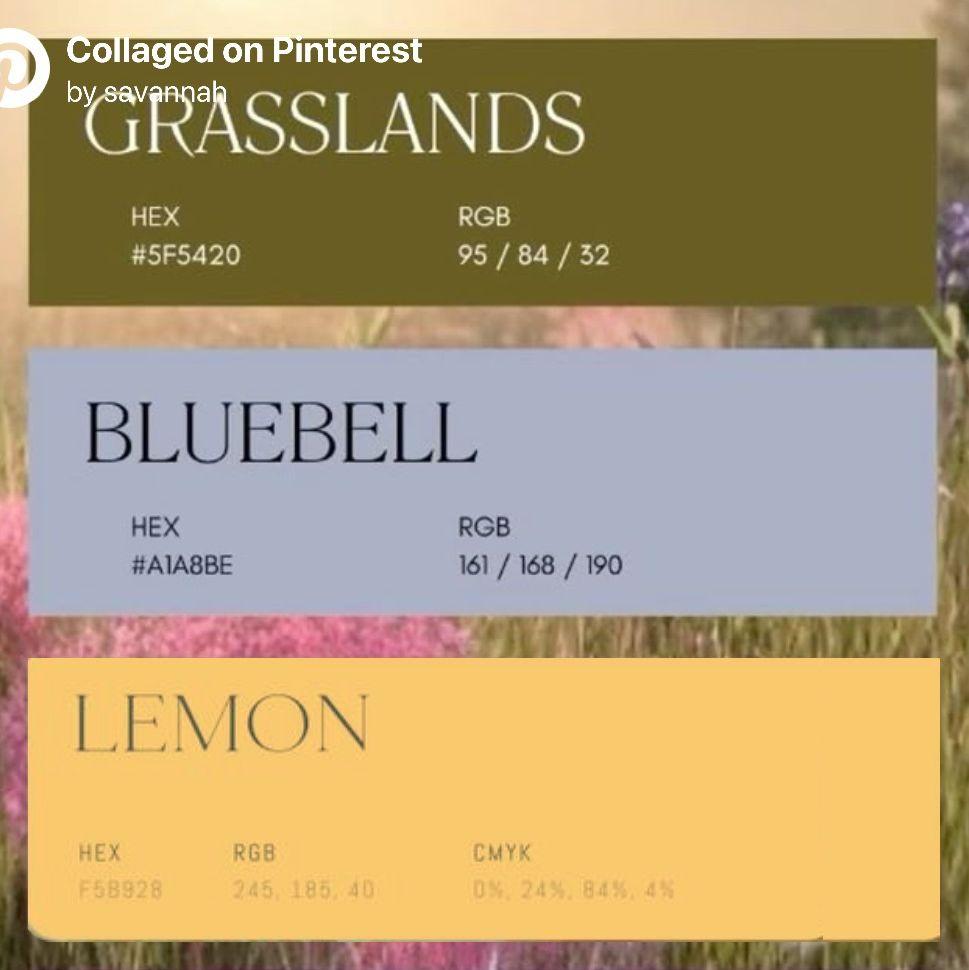 Our color scheme!
