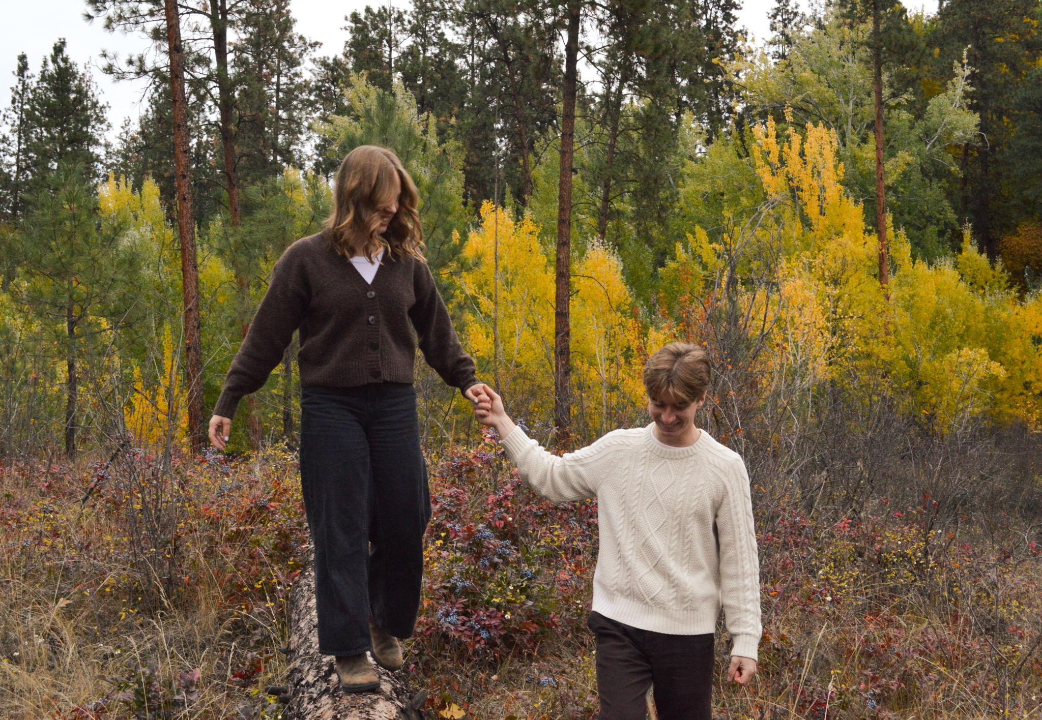 dae979f5-62f1-405d-8a81-cee748cbab1a