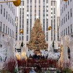 Rockefeller Center Christmas Tree