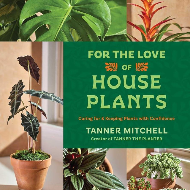 For the Love of Houseplants: Caring for & Keeping Plants with Confidence