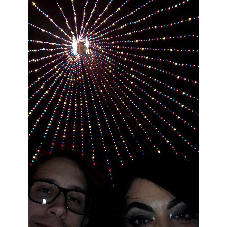 spinning under the big tree at the Austin Trail of Lights