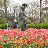 Memphis Botanic Garden
