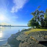 Washington Park Arboretum