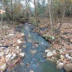 George Mitchell Preserve