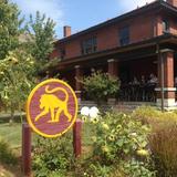 Frothy Monkey Coffee Shop