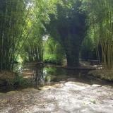 Taitua Arboretum