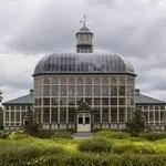 Rawlings Conservatory