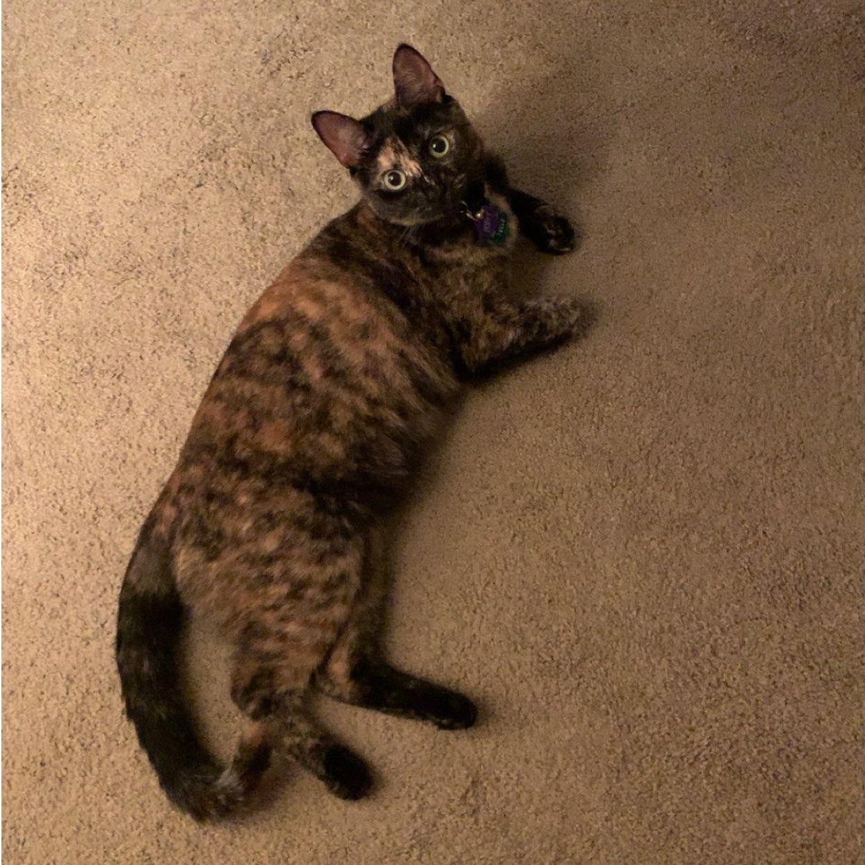 Poppy!