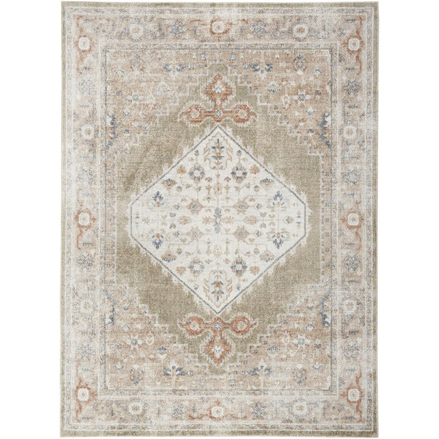 Nourison Astra Machine Washable Vintage Persian Indoor Rug Sage Multi 6'7" x 9'