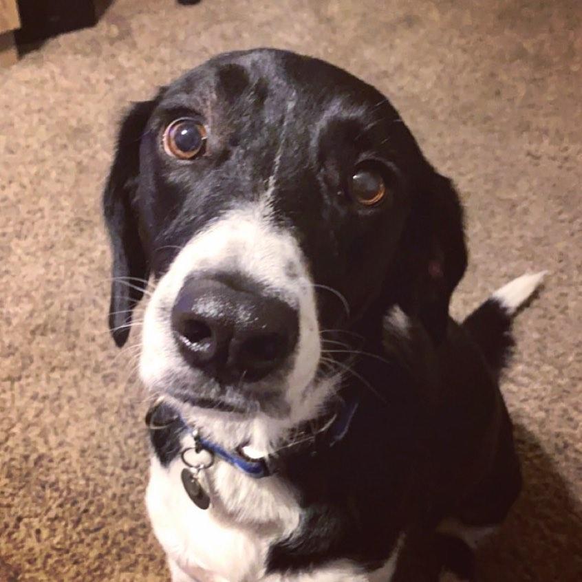 Fitzgerald frequently looks at us with this face - especially when we kiss each other instead of him.