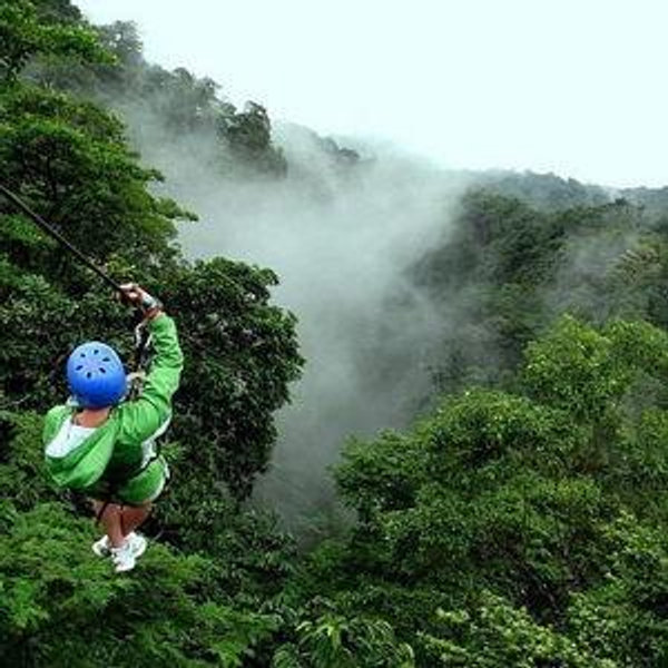 Ziplining (Venmo)
