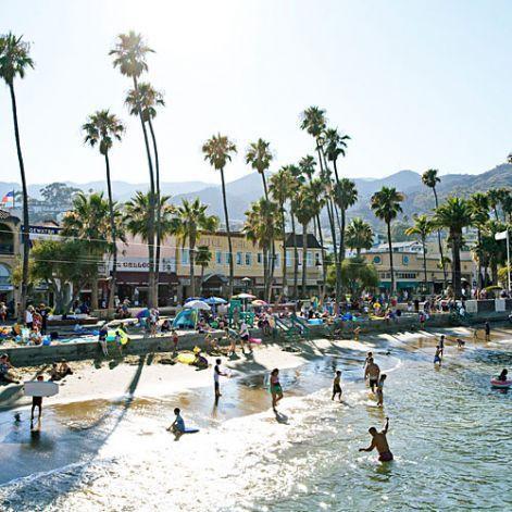 Avalon Beach