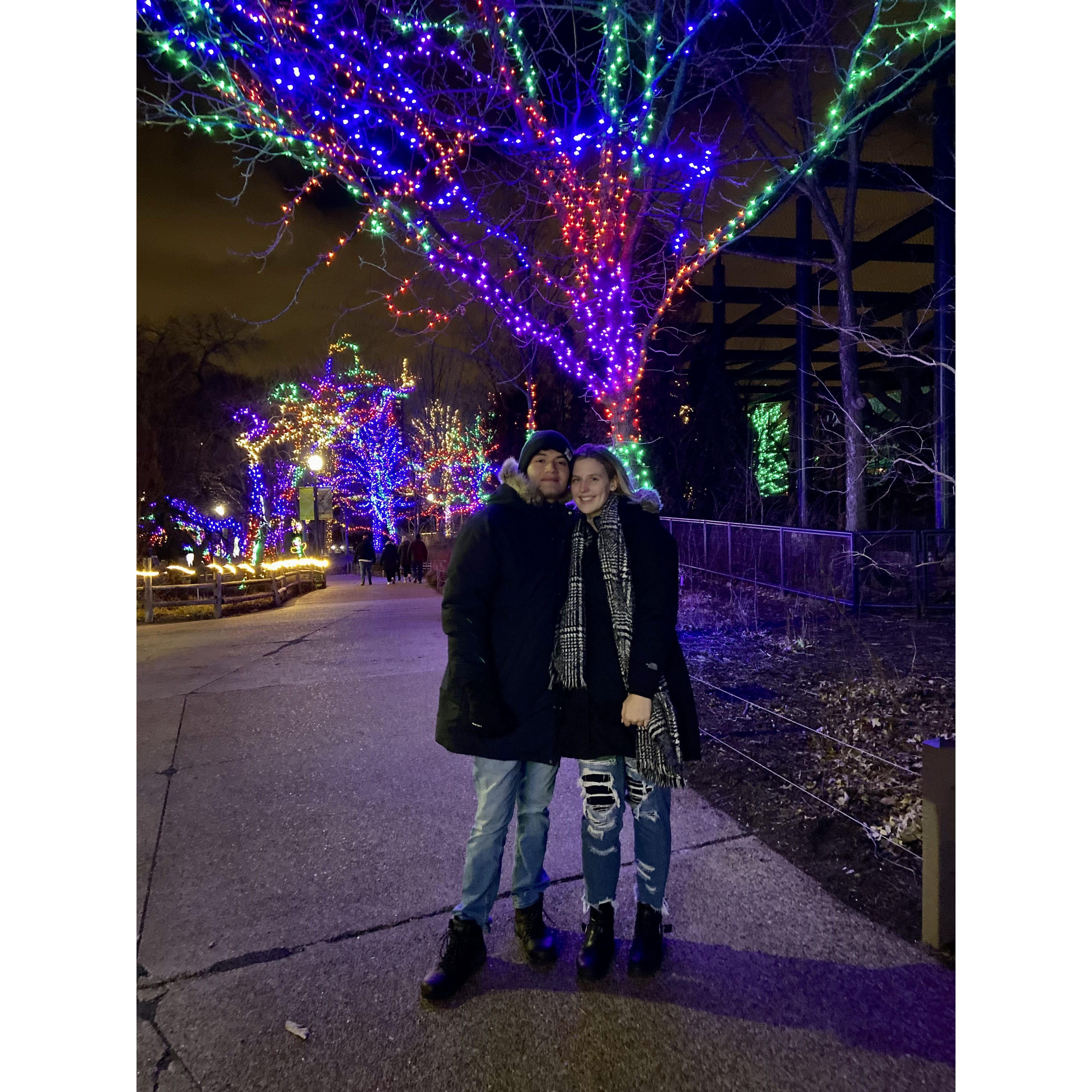 Zoolights